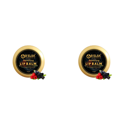 https://cdn.shopify.com/s/files/1/1857/6931/files/PB-BH-LB_43a87128-92e4-485c-ae8f-1c6f2ca933d0.png?v=1756817994