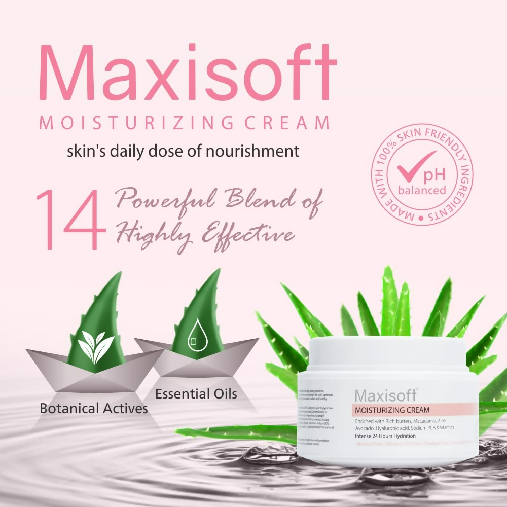 https://cdn.shopify.com/s/files/1/1857/6931/files/PBdIFzOnDD.png?v=1731566830