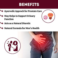 https://cdn.shopify.com/s/files/1/1857/6931/files/PC498-3_1.jpg?v=1760160479
