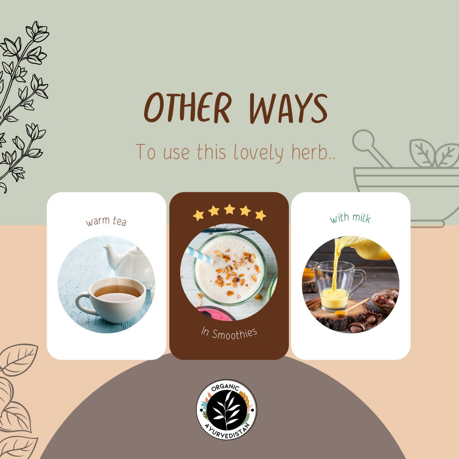 https://cdn.shopify.com/s/files/1/1857/6931/products/PDjpiFJiG7.jpg?v=1683284756