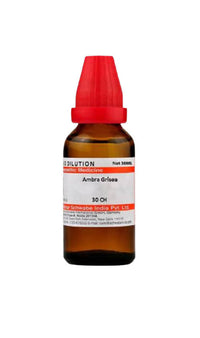 https://cdn.shopify.com/s/files/1/1857/6931/products/PEcAYpzLzw.jpg?v=1624588271