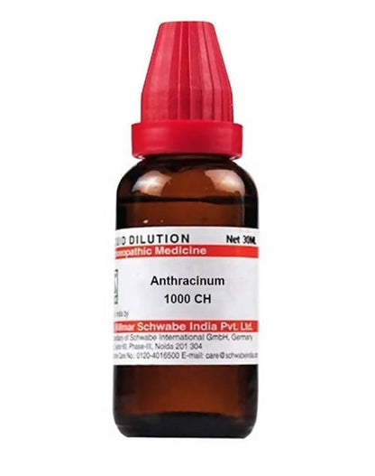 https://cdn.shopify.com/s/files/1/1857/6931/products/PFHe03c9ay.jpg?v=1640865715