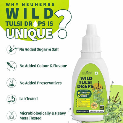 https://cdn.shopify.com/s/files/1/1857/6931/products/PGN6oVadfD.jpg?v=1628822035