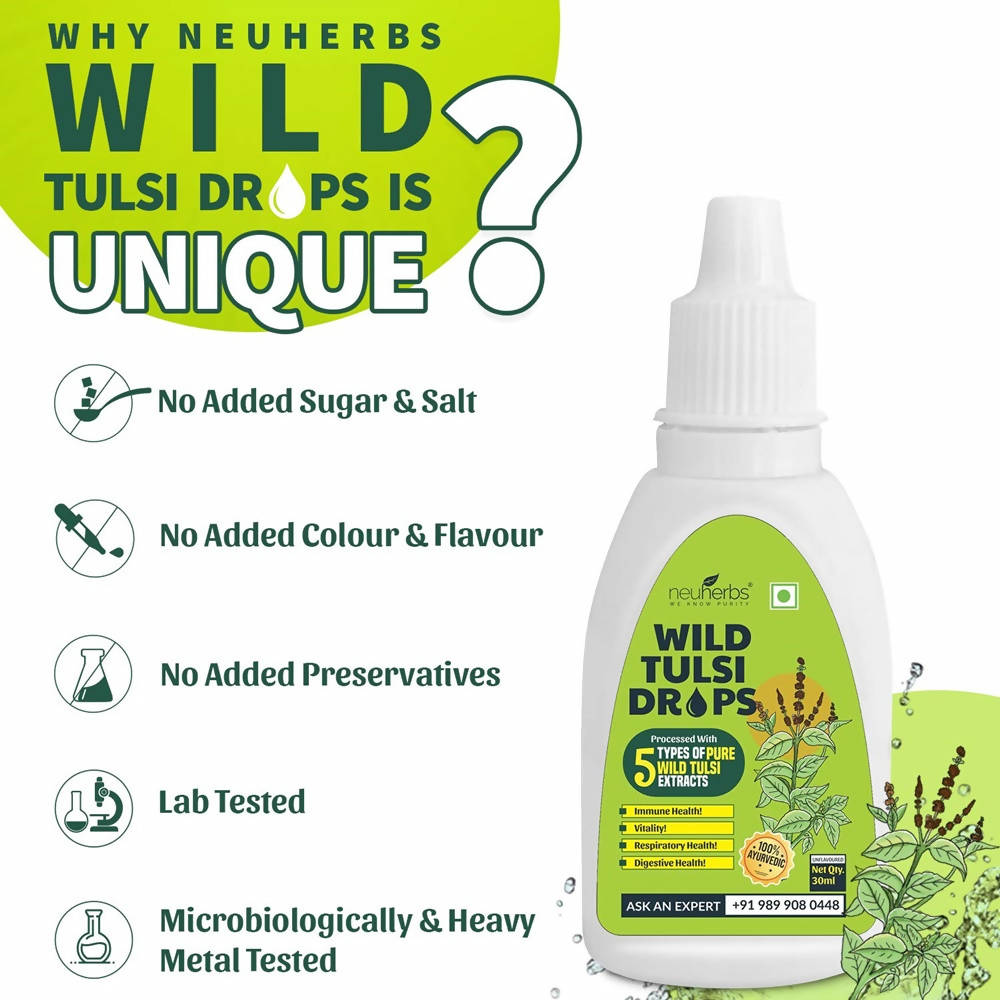 https://cdn.shopify.com/s/files/1/1857/6931/products/PGN6oVadfD.jpg?v=1628822035