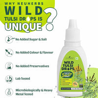 https://cdn.shopify.com/s/files/1/1857/6931/products/PGN6oVadfD.jpg?v=1628822035