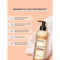 https://cdn.shopify.com/s/files/1/1857/6931/files/PJ1yO5Q7h4.png?v=1742901145