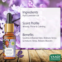 https://cdn.shopify.com/s/files/1/1857/6931/products/PJ4CmEyN7t.jpg?v=1618540043