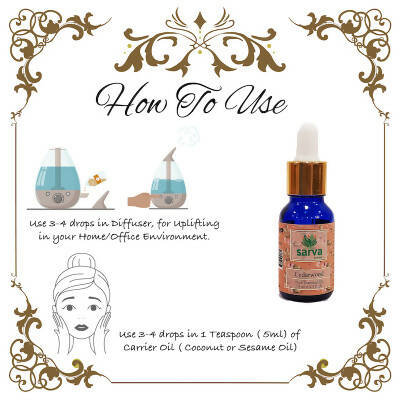 https://cdn.shopify.com/s/files/1/1857/6931/products/PKl5UAHvvf.jpg?v=1670671251