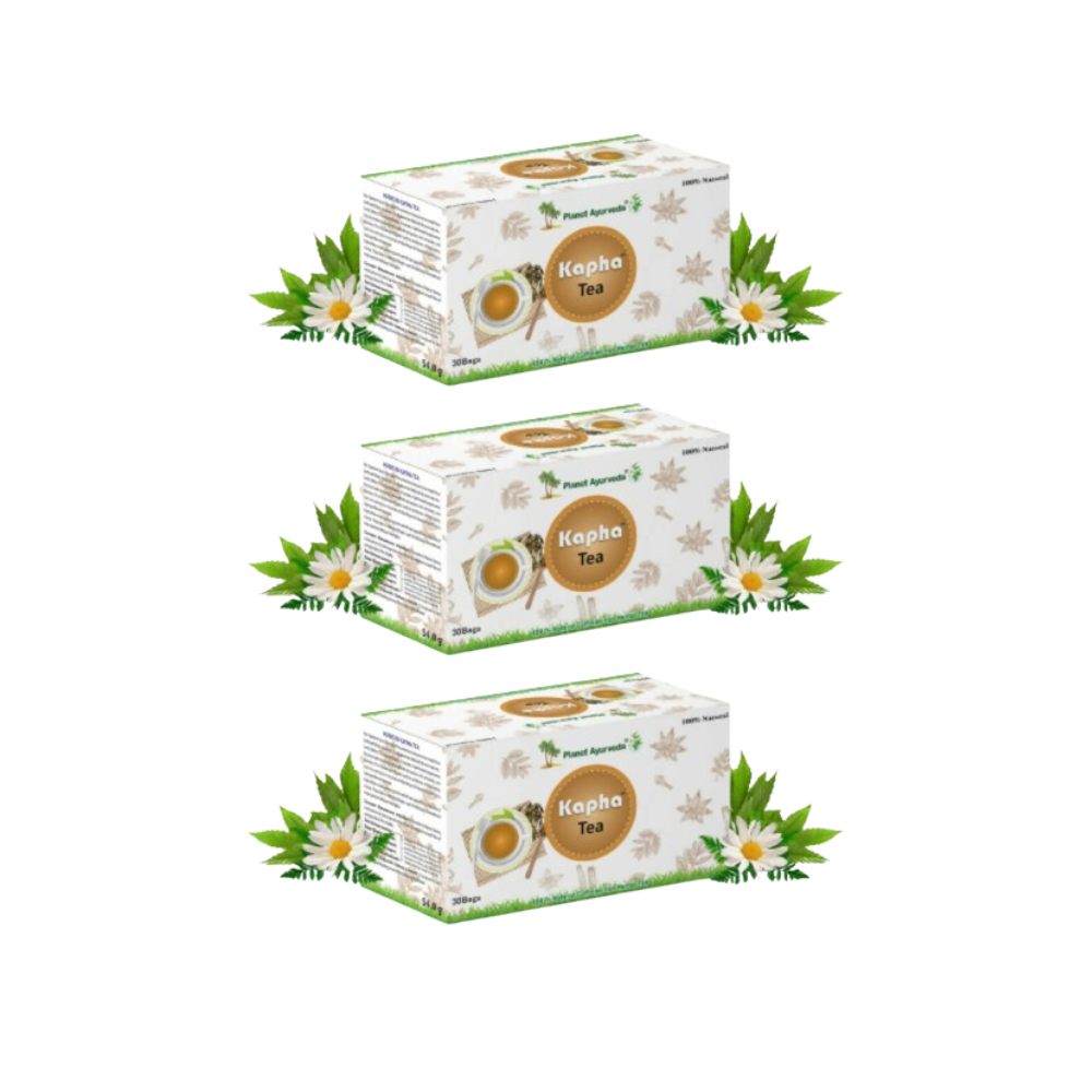 https://cdn.shopify.com/s/files/1/1857/6931/files/PLANE-PLANE-78163-01_3cc9613a-8219-4977-a7b3-d4fc6c71f40c.png?v=1756820604