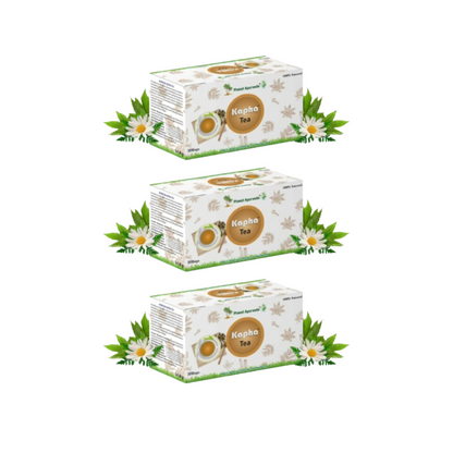 https://cdn.shopify.com/s/files/1/1857/6931/files/PLANE-PLANE-78163-01_3cc9613a-8219-4977-a7b3-d4fc6c71f40c.png?v=1756820604