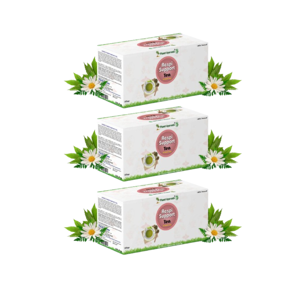 https://cdn.shopify.com/s/files/1/1857/6931/files/PLANE-PLANE-78167-01_6463a236-2ac7-4a87-a820-f6b47ac622fc.png?v=1756820597