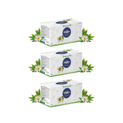 https://cdn.shopify.com/s/files/1/1857/6931/files/PLANE-PLANE-78168-01_15f5a898-7a1f-472a-9d14-6c1f59c19792.png?v=1756820595