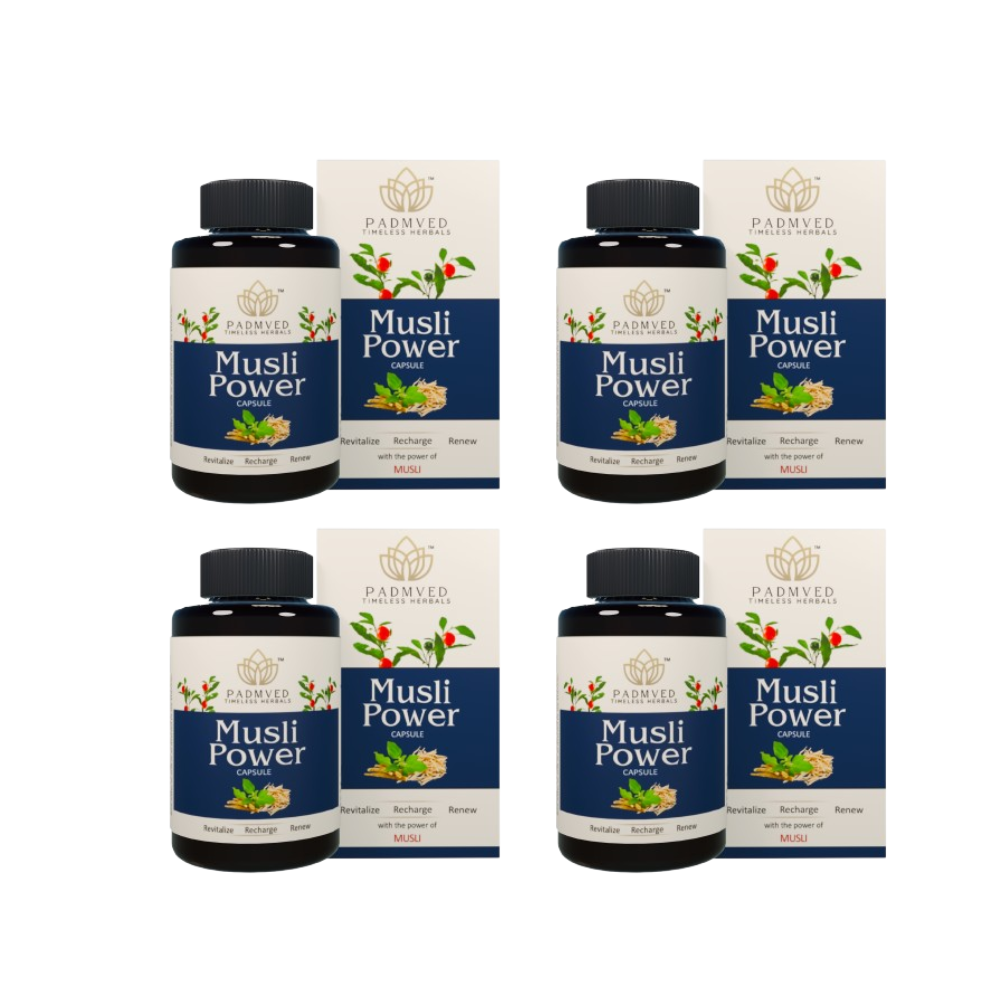https://cdn.shopify.com/s/files/1/1857/6931/files/PMP-P04_a1e3d595-c669-4850-b1bb-7a270c43aa8f.png?v=1756818495