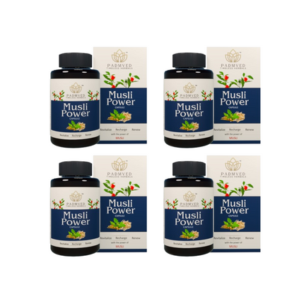 https://cdn.shopify.com/s/files/1/1857/6931/files/PMP-P04_a1e3d595-c669-4850-b1bb-7a270c43aa8f.png?v=1756818495