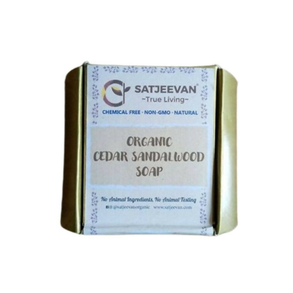 https://cdn.shopify.com/s/files/1/1857/6931/products/PMxXPuuhn8.jpg?v=1705994010