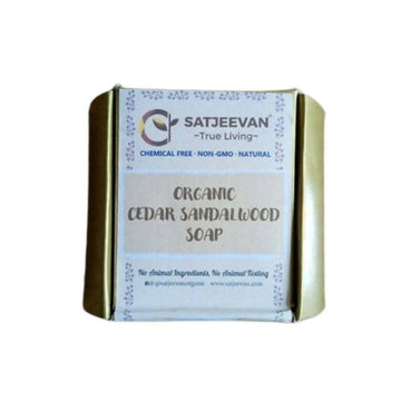 https://cdn.shopify.com/s/files/1/1857/6931/products/PMxXPuuhn8.jpg?v=1705994010