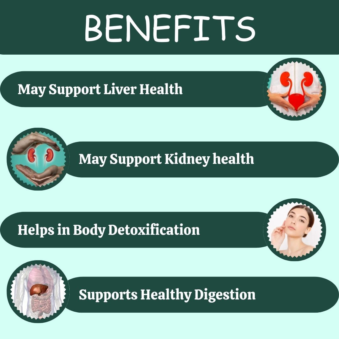 https://cdn.shopify.com/s/files/1/1857/6931/files/PN078-3_1_9e15b3db-330a-410a-9cae-a2d9015cc144.jpg?v=1760090290
