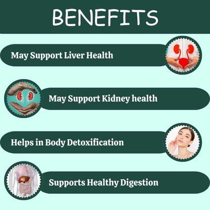 https://cdn.shopify.com/s/files/1/1857/6931/files/PN078-3_1_9e15b3db-330a-410a-9cae-a2d9015cc144.jpg?v=1760090290