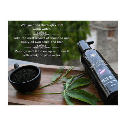 https://cdn.shopify.com/s/files/1/1857/6931/files/PRB2NgNTwe-190681.png?v=1736151117