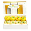 https://cdn.shopify.com/s/files/1/1857/6931/products/PRBx891HSU.jpg?v=1762345858