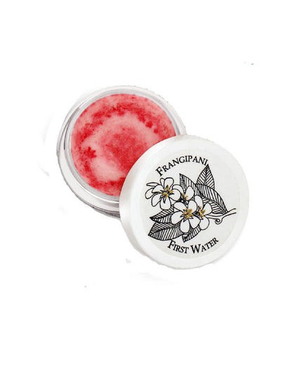 https://cdn.shopify.com/s/files/1/1857/6931/products/PWsB5t8rPn.jpg?v=1616120913