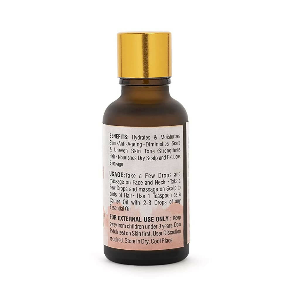 https://cdn.shopify.com/s/files/1/1857/6931/products/PYQ6t16Nje.jpg?v=1670661025