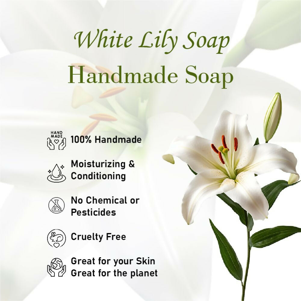 https://cdn.shopify.com/s/files/1/1857/6931/files/PYkVI5tisP.jpg?v=1715003109