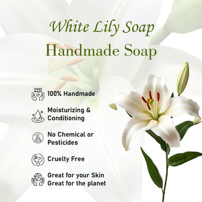 https://cdn.shopify.com/s/files/1/1857/6931/files/PYkVI5tisP.jpg?v=1715003109