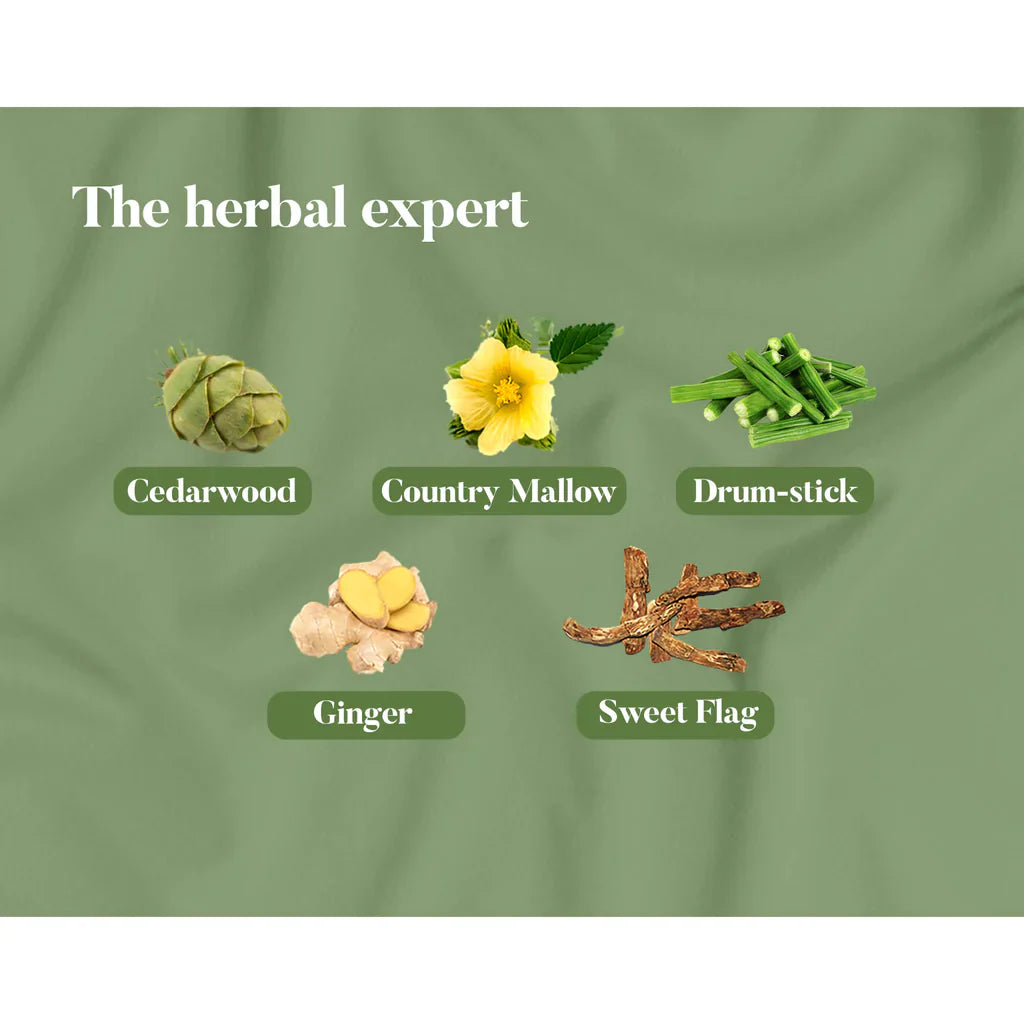 https://cdn.shopify.com/s/files/1/1857/6931/products/Pain-relief-oil3_1024x1024_a8d42808-8439-4509-8284-304cef40310e.webp?v=1661519163
