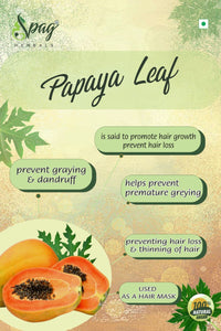 https://cdn.shopify.com/s/files/1/1857/6931/products/Papaya1.jpg?v=1681994013