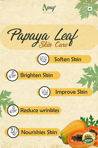 https://cdn.shopify.com/s/files/1/1857/6931/products/Papaya2.jpg?v=1681994012