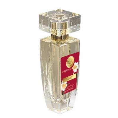 https://cdn.shopify.com/s/files/1/1857/6931/products/PbFthl7boc.jpg?v=1614306367