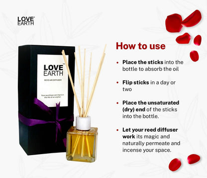 https://cdn.shopify.com/s/files/1/1857/6931/products/PbYrRcbm3N.jpg?v=1665840599