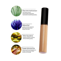 https://cdn.shopify.com/s/files/1/1857/6931/products/PbuWjsBdi9.jpg?v=1691993864