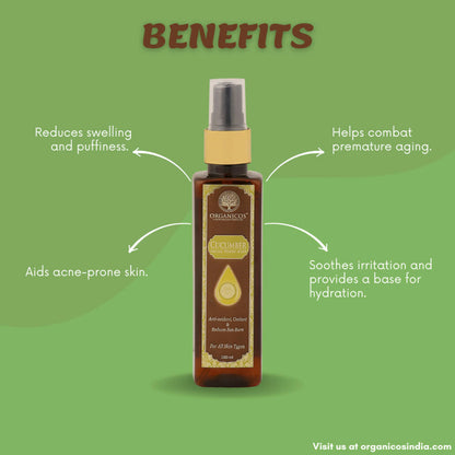 https://cdn.shopify.com/s/files/1/1857/6931/products/PdqJULFpdL.jpg?v=1663668564