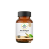 https://cdn.shopify.com/s/files/1/1857/6931/files/Pix0H8YJ09.png?v=1775641945