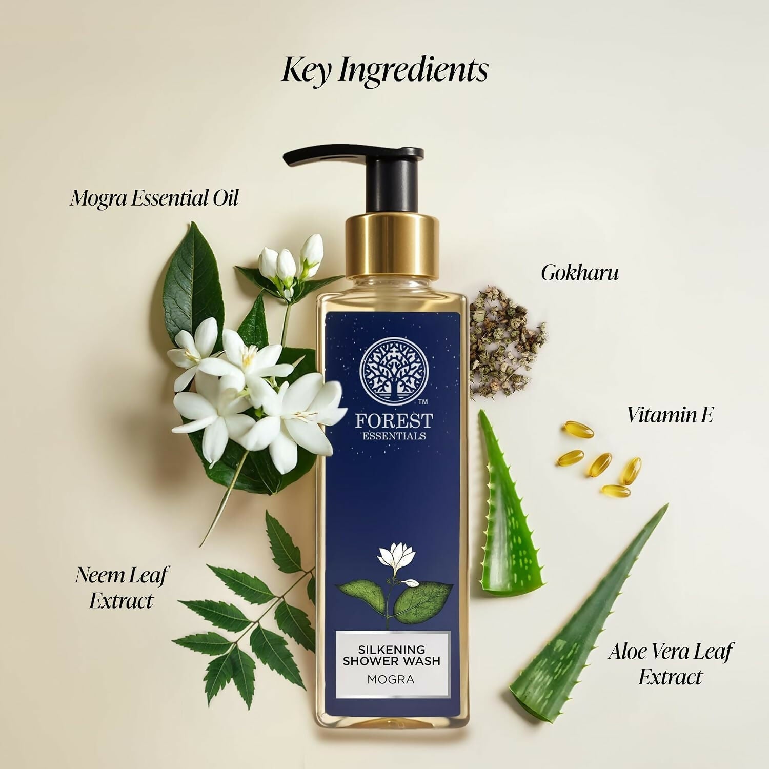 https://cdn.shopify.com/s/files/1/1857/6931/files/PjMeYKURJN.jpg?v=1785740211