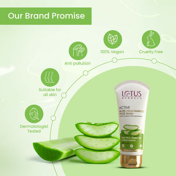 https://cdn.shopify.com/s/files/1/1857/6931/files/PlariB83Pd.jpg?v=1722257225