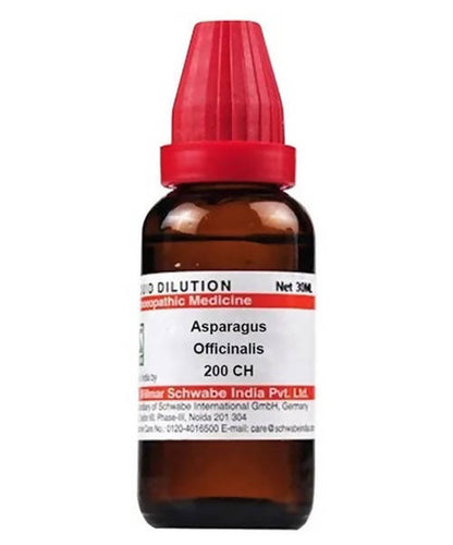 https://cdn.shopify.com/s/files/1/1857/6931/products/PlqH9ZFFvj.jpg?v=1640930132