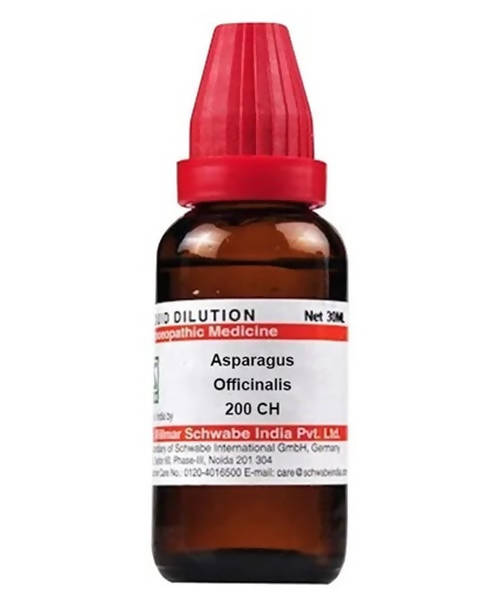 https://cdn.shopify.com/s/files/1/1857/6931/products/PlqH9ZFFvj.jpg?v=1640930132