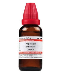 https://cdn.shopify.com/s/files/1/1857/6931/products/PlqH9ZFFvj.jpg?v=1640930132