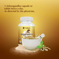 https://cdn.shopify.com/s/files/1/1857/6931/products/Pp9CaNvvFm.jpg?v=1682664049