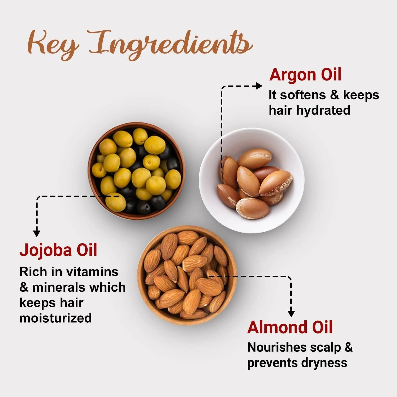https://cdn.shopify.com/s/files/1/1857/6931/products/PqtMeQJYot.jpg?v=1680952951