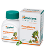 https://cdn.shopify.com/s/files/1/1857/6931/products/Punarnava_1024x1024_e70110ed-0b0d-4f4f-b42e-ea61b7380b40.png?v=1737560730