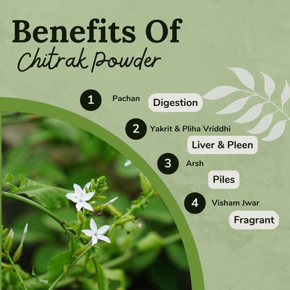 https://cdn.shopify.com/s/files/1/1857/6931/files/PurestAyurvedicHerbChitrak.jpg?v=1778160455