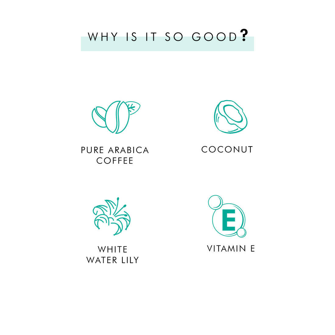 https://cdn.shopify.com/s/files/1/1857/6931/products/PvmHVErPYm.jpg?v=1675316427