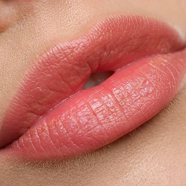 https://cdn.shopify.com/s/files/1/1857/6931/products/PwYnC13pm3.jpg?v=1686642546