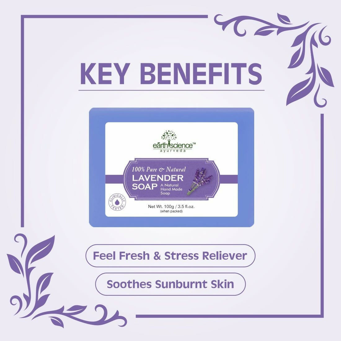 https://cdn.shopify.com/s/files/1/1857/6931/files/Q1bkfsdcEZ.jpg?v=1732017418