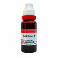 https://cdn.shopify.com/s/files/1/1857/6931/products/Q31SqlJ6g9.jpg?v=1637411708