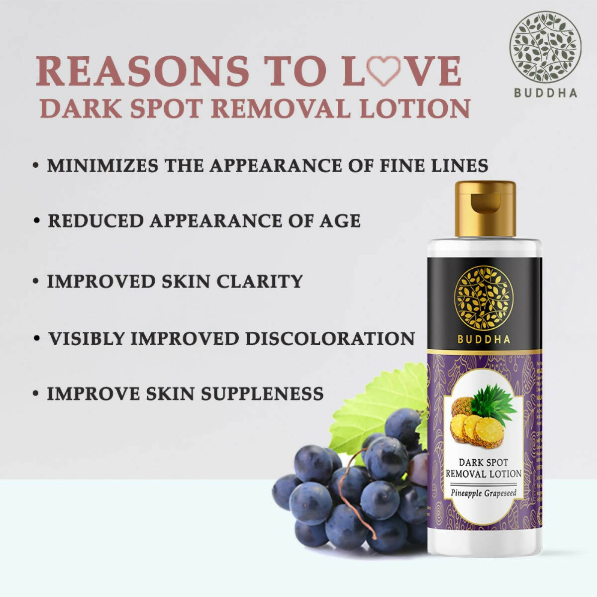 https://cdn.shopify.com/s/files/1/1857/6931/products/Q31vf1Tby5.jpg?v=1677502641